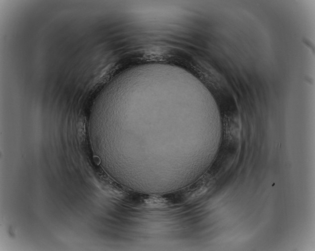 X0000097490603200803071741