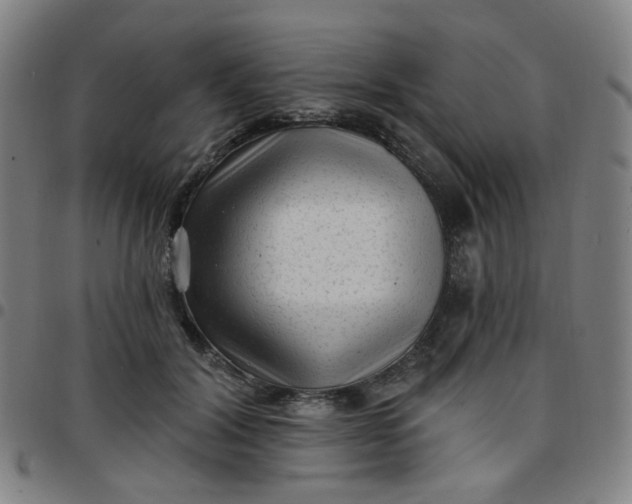 X0000097490604200803071741