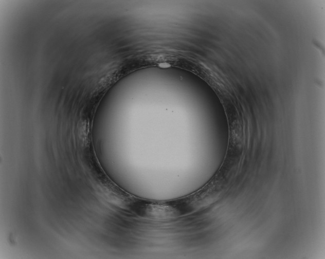 X0000097490605200803071741