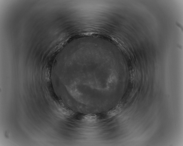 X0000097490606200803071740