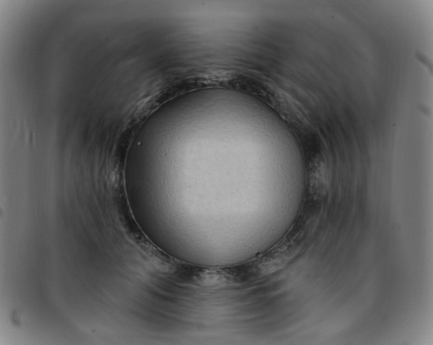 X0000097490608200803071740