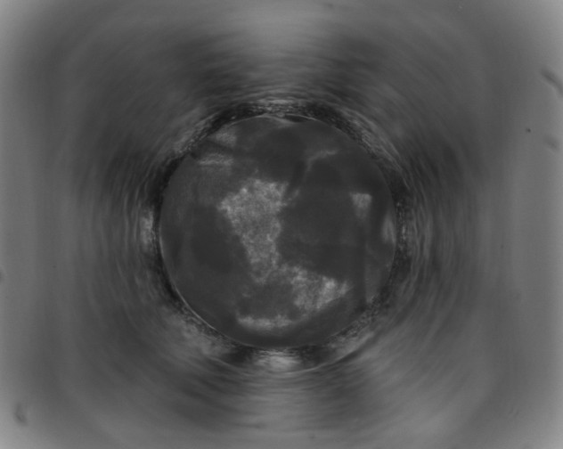 X0000097490610200803071740