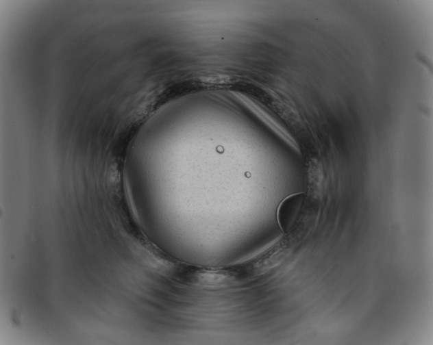 X0000097490614200803071740