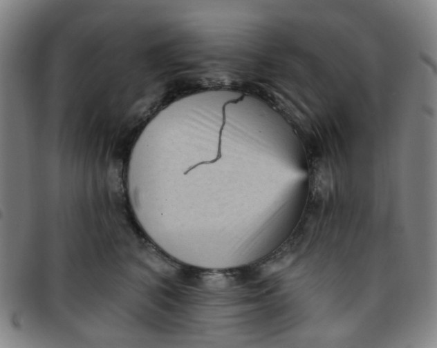 X0000097490616200803071740