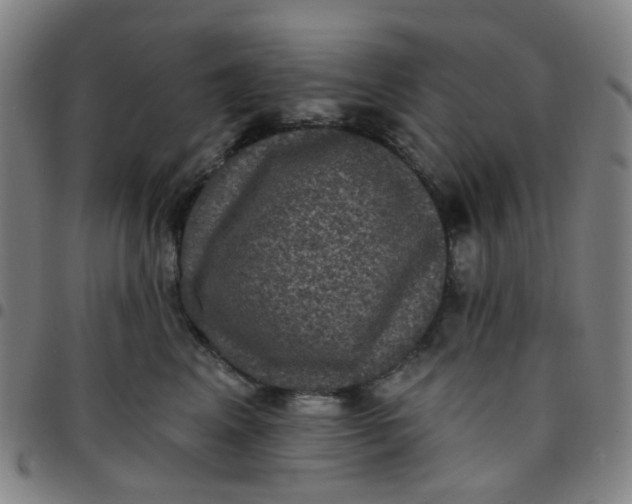 X0000097490617200803071740