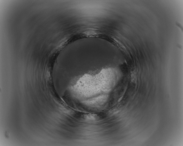 X0000097490618200803071740