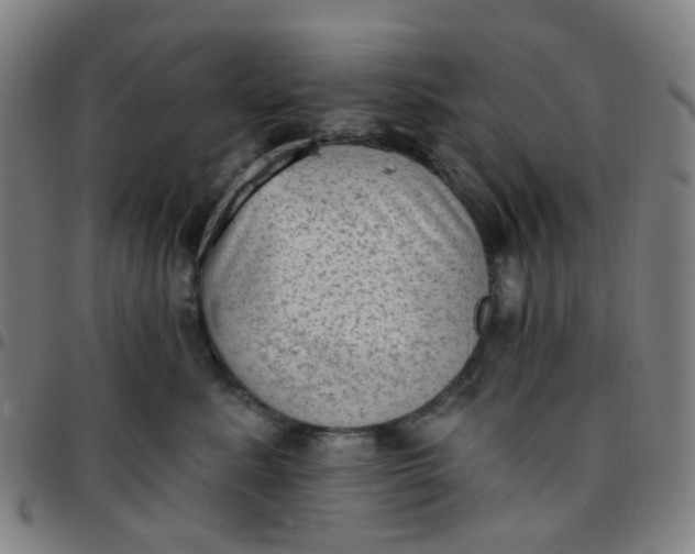 X0000097490619200803071740