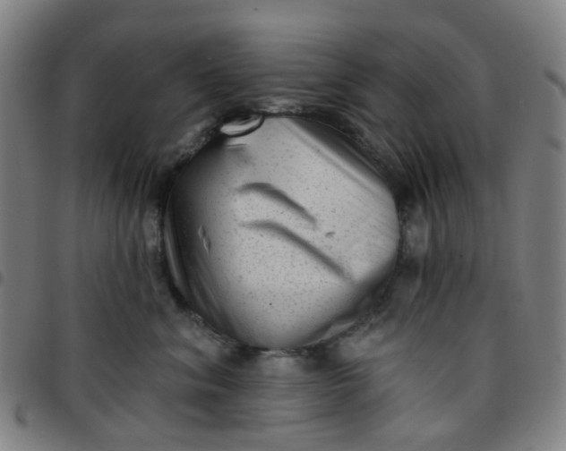 X0000097490620200803071740