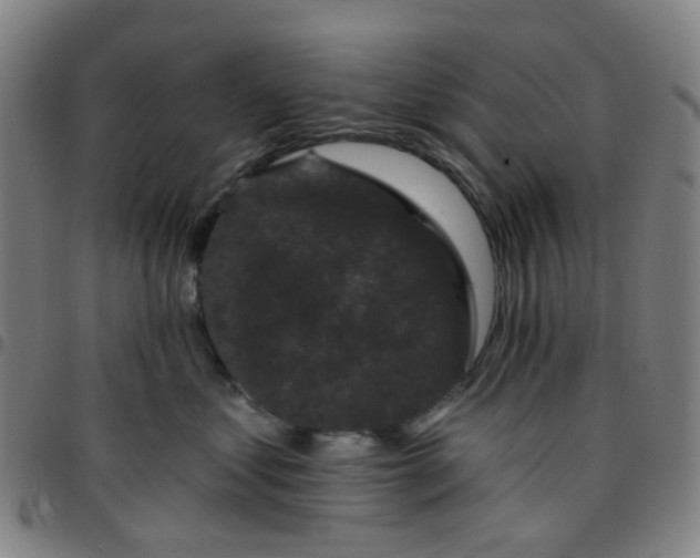 X0000097490621200803071740