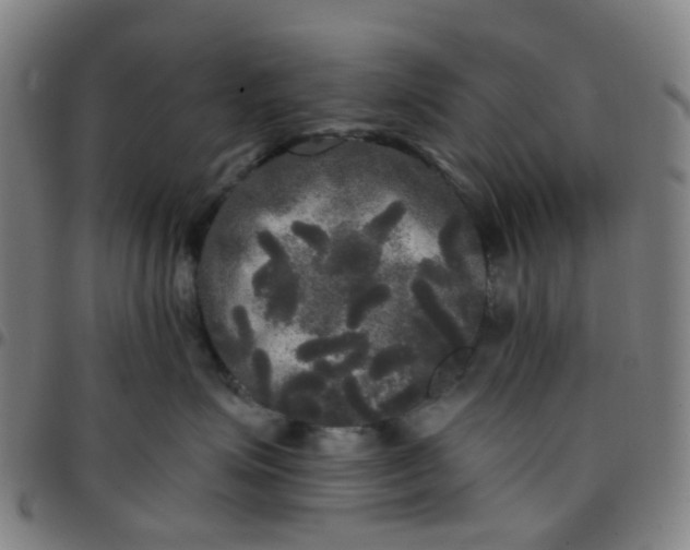 X0000097490623200803071740