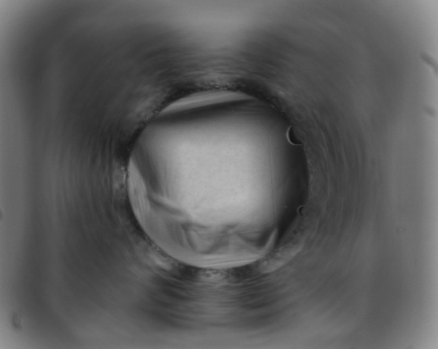 X0000097490624200803071740