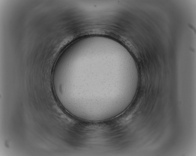 X0000097490625200803071739