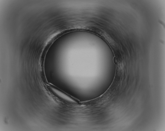 X0000097490628200803071739