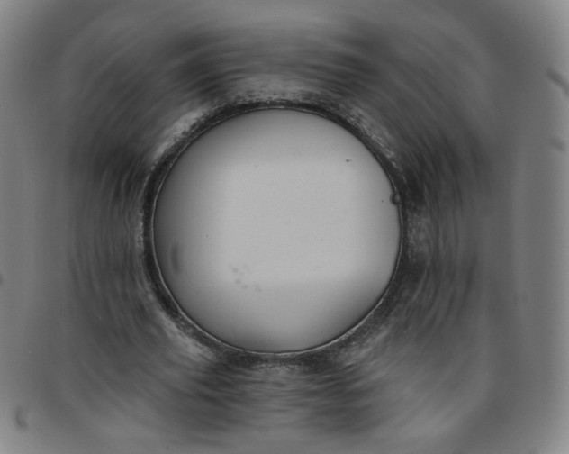 X0000097490629200803071739