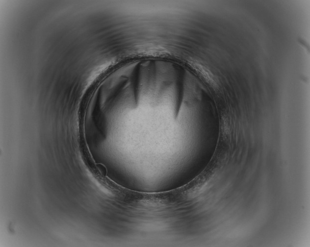 X0000097490630200803071739