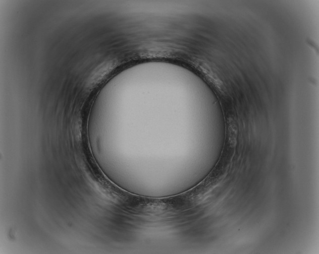 X0000097490631200803071739