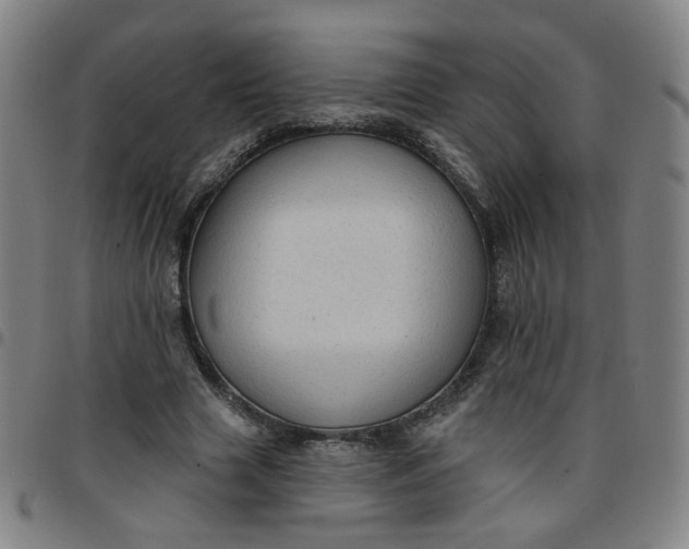 X0000097490633200803071740