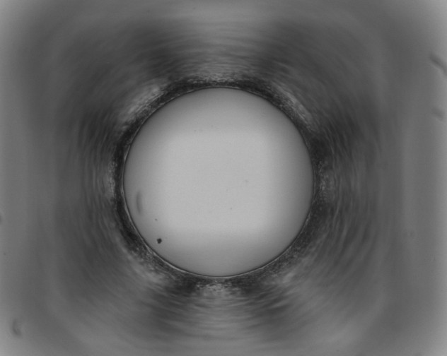 X0000097490635200803071740