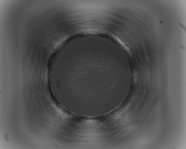 X0000097490637200803071740