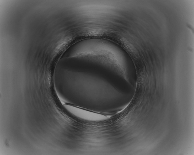 X0000097490640200803071740