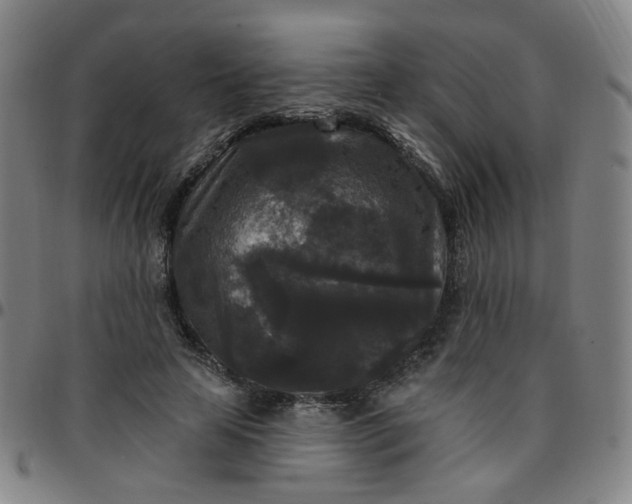 X0000097490641200803071740