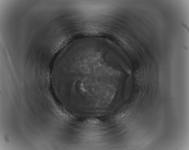 X0000097490642200803071740