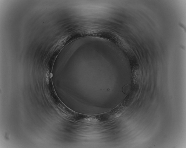 X0000097490644200803071740