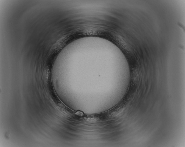 X0000097490645200803071740