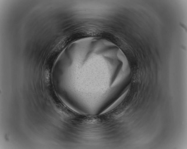 X0000097490646200803071740