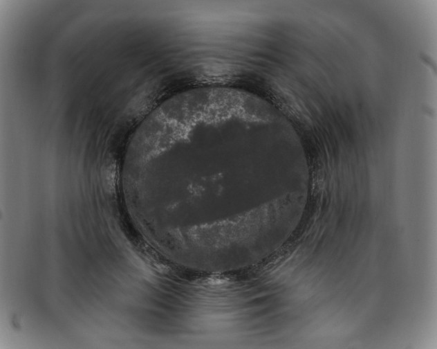 X0000097490647200803071740