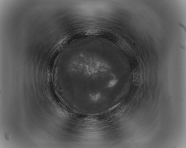 X0000097490648200803071740