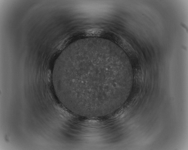 X0000097490649200803071740