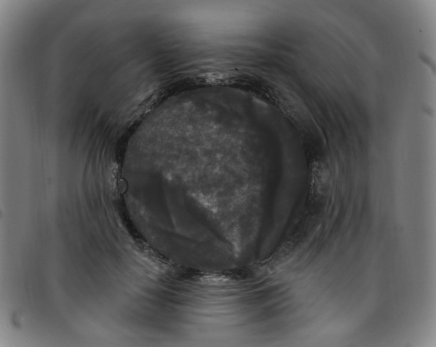 X0000097490650200803071740