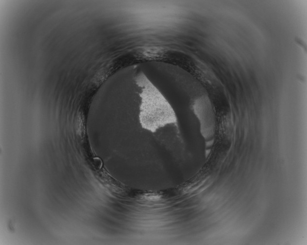 X0000097490651200803071740