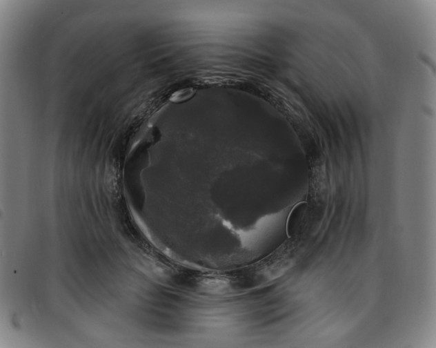 X0000097490653200803071740