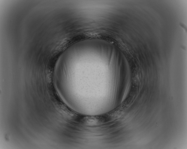 X0000097490658200803071740