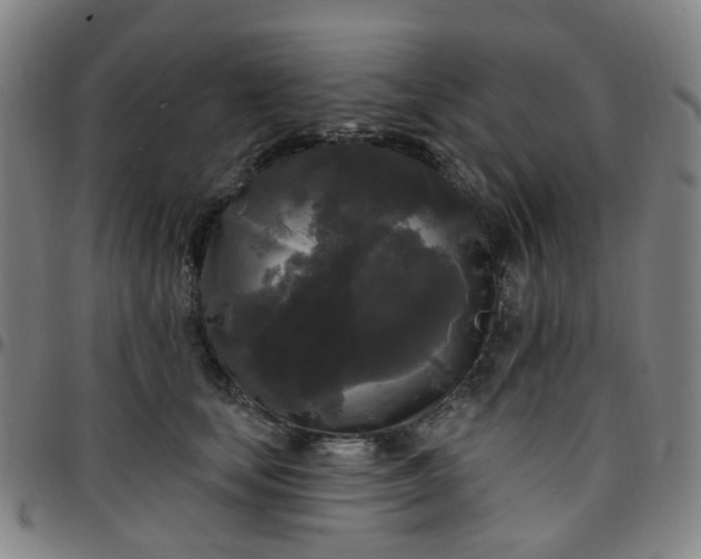 X0000097490659200803071740