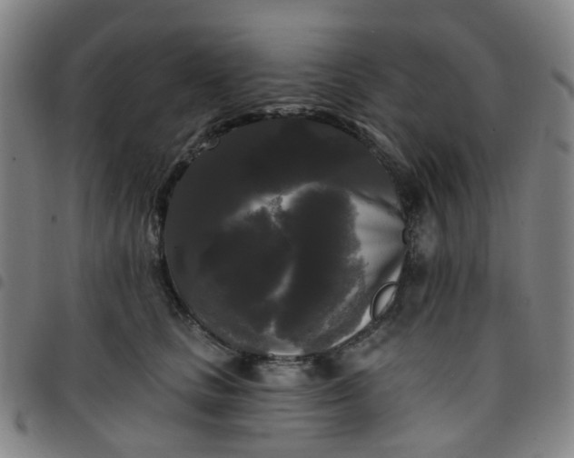 X0000097490661200803071740