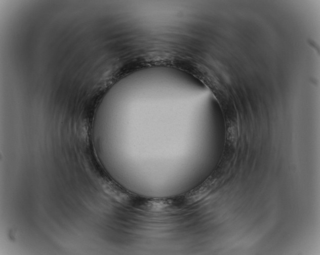 X0000097490662200803071740