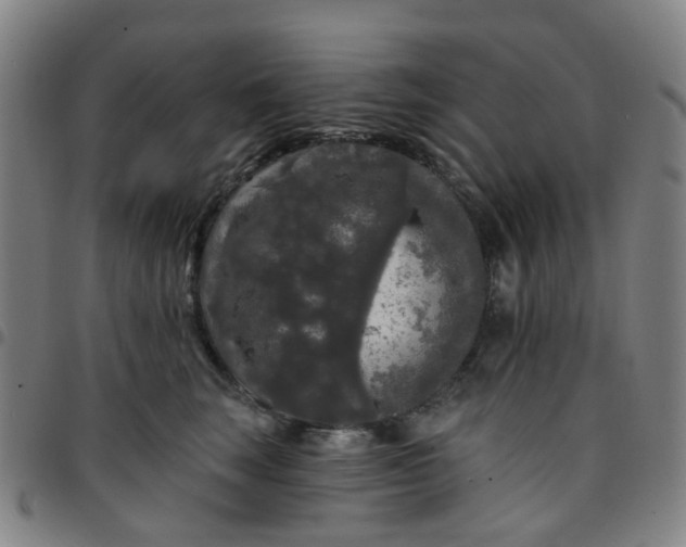 X0000097490663200803071740