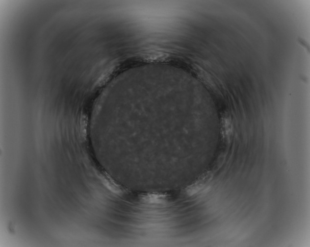 X0000097490664200803071740