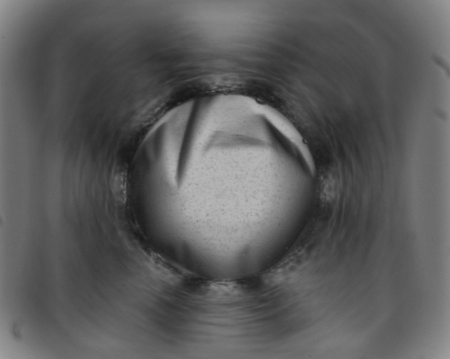 X0000097490666200803071740