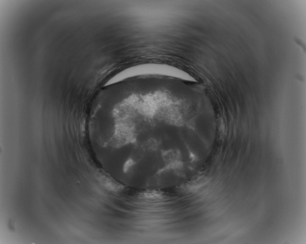 X0000097490668200803071740