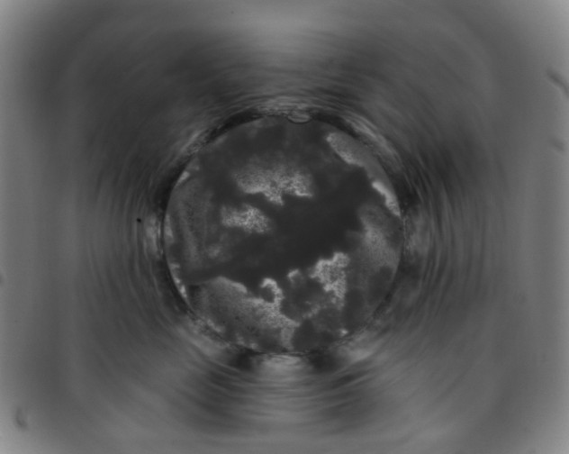 X0000097490669200803071740