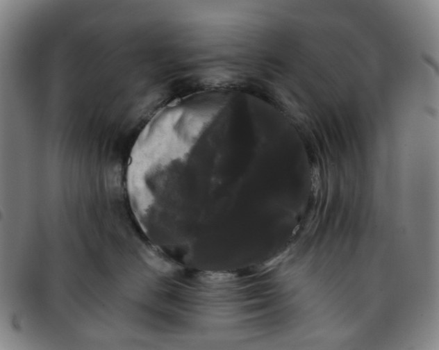 X0000097490670200803071740