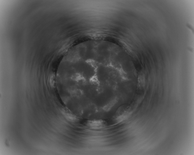 X0000097490671200803071740