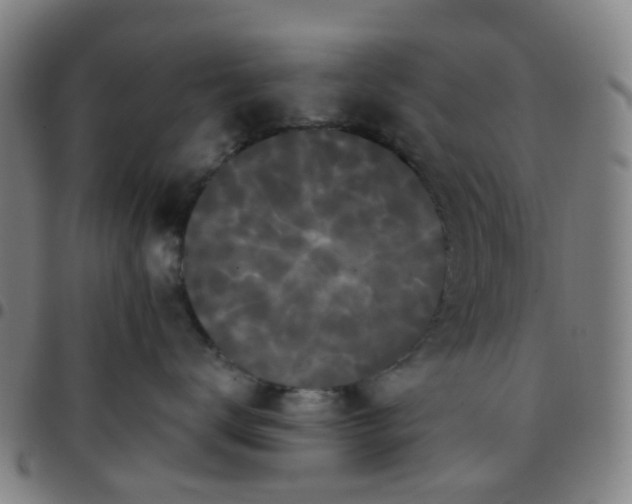 X0000097490672200803071740