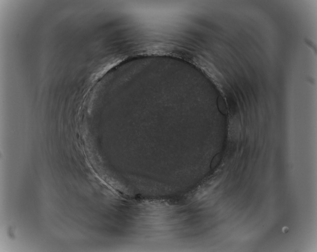 X0000097490673200803071739