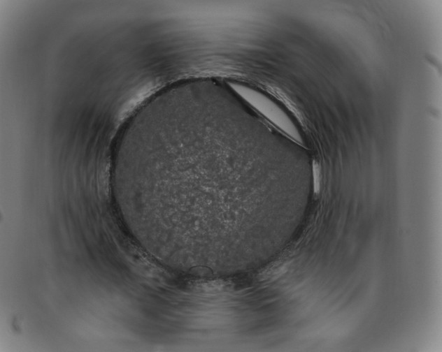 X0000097490675200803071739