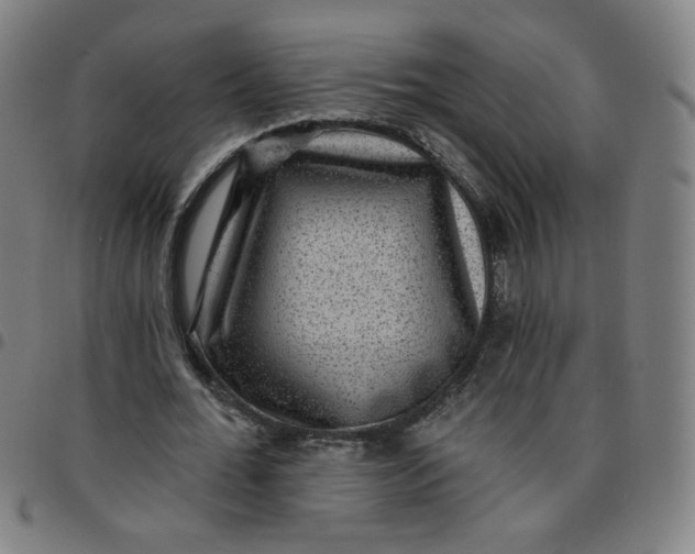 X0000097490676200803071739